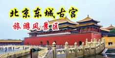 锕污污中国北京-东城古宫旅游风景区